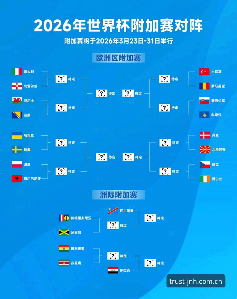 世界杯观赛受阻解析：从签证困境到赛事冷场，JNH平台带你看懂背后原因